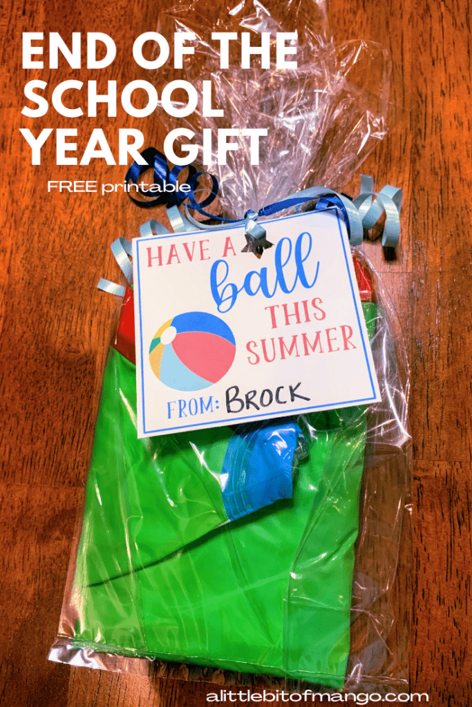 end of school year gift